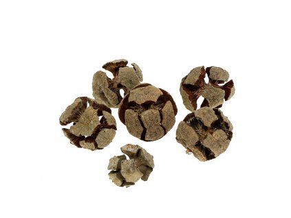 Zypressen Zapfen Natur 3cm 500g 2271